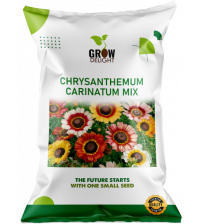 Grow Delight Imported Chrysanthemum Carinatum Mix 100 Seeds Grow Delight Imported Chrysanthemum Carinatum Mix 100 Seeds